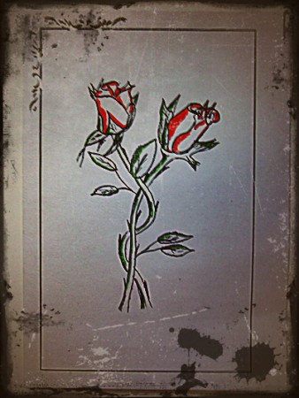 Összefonódó rózsák